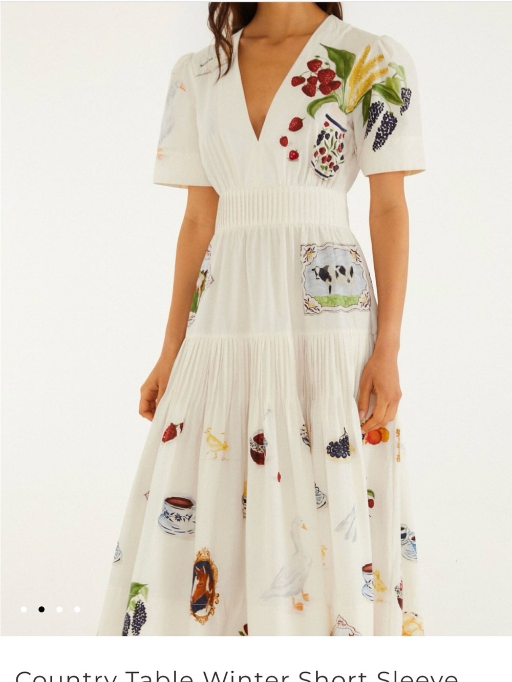 Farm Rio Country Table Winter Short Sleeve Midi Dress size S - Picture 2 of 4